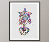 Skeleton Torso Watercolor Print Human Skeleton Anatomy Medical Art Science Art Human Skull Nurse Science Art Medicine Skeleton Print-980 - CocoMilla