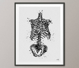 Skeleton Torso Watercolor Print Human Skeleton Anatomy Medical Art Science Art Human Skull Nurse Science Art Medicine Skeleton Print-980 - CocoMilla