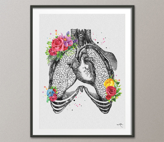 Floral Anatomical Lungs with Heart Decor Graphic by CreartGraphics ·  Creative Fabrica