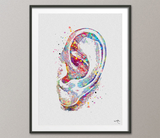 ENT Doctor Ear Nose Throat Watercolor Print Student Graduation Doctor Art Clinic Decor Doctor Medical Art Medical Office Surgery Doctor-84 - CocoMilla
