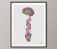 Brain Heart DNA Watercolor Print Science Wall Art Medical Art Wall Art Anatomy Clinic Decor Heart and Brain Office Decor Wall Hanging-444 - CocoMilla
