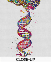 Brain Heart DNA Watercolor Print Science Wall Art Medical Art Wall Art Anatomy Clinic Decor Heart and Brain Office Decor Wall Hanging-444 - CocoMilla
