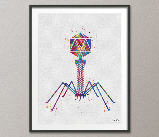 Bacteriophage Watercolor Print Medical Art Biotech Wall Art Bioscience Microbiology Virus Art Biology Bacteria Microscopy Science Decor-195 - CocoMilla