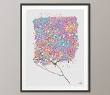 Purkinje Cell Purkinje Neuron Watercolor Print Art Science Art Neurology Medical Art Brain Neuroscience Neurologist Clinic Office Decor-170 - CocoMilla