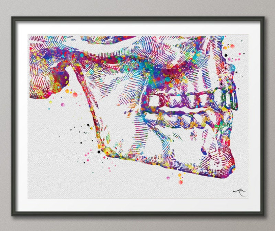 Tooth Anatomy Watercolor Print Teeth Anatomy Art Vintage Art Dental Clinic Decor Art Dentistry Student Surgery Dentist Gift Doctor Art-570 - CocoMilla