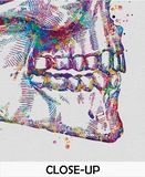 Tooth Anatomy Watercolor Print Teeth Anatomy Art Vintage Art Dental Clinic Decor Art Dentistry Student Surgery Dentist Gift Doctor Art-570 - CocoMilla