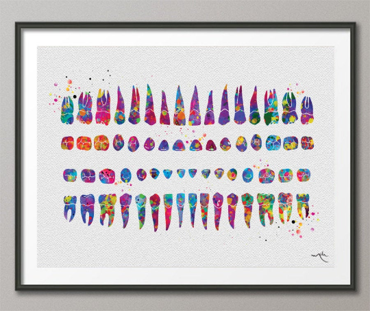 Orthodontic Chart Watercolor Print Tooth Chart Anatomical Dental Art Clinic Decor Art Dentistry Student Teeth Dentist Doctor Office Art-1277 - CocoMilla