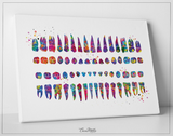 Orthodontic Chart Watercolor Print Tooth Chart Anatomical Dental Art Clinic Decor Art Dentistry Student Teeth Dentist Doctor Office Art-1277 - CocoMilla