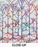 Neural Network 3 Watercolor Print Abstract Medical Art Science Neurology Brain Psychiatry Therapy Art Doctor Poster Neuron Synapses-1218 - CocoMilla