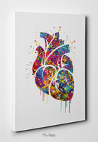 Heart Anatomy Watercolor Art Print Medical Art Anatomy Decor Cardiology Clinic Office Decor Wall Hanging Cardiologist Science Wall Art-77 - CocoMilla