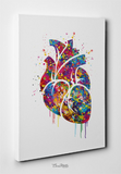 Heart Anatomy Watercolor Art Print Medical Art Anatomy Decor Cardiology Clinic Office Decor Wall Hanging Cardiologist Science Wall Art-77 - CocoMilla