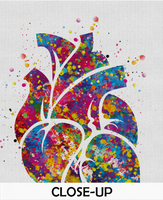 Heart Anatomy Watercolor Art Print Medical Art Anatomy Decor Cardiology Clinic Office Decor Wall Hanging Cardiologist Science Wall Art-77 - CocoMilla