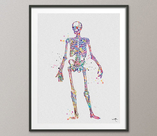 Human Skeleton Anatomy Watercolor Print Medical Art Science Art Graduation Gift Anatomy Human Skull Nurse Science Poster Skeleton Print-977 - CocoMilla