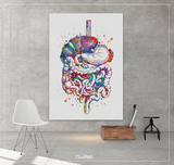 Digestive Tract Watercolor Print Human Organs Gastrointestinal Tract Clinic Decor Art Student Graduaiton Gift Medical Doctor Art Gift-1258 - CocoMilla