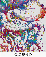 Digestive Tract Watercolor Print Human Organs Gastrointestinal Tract Clinic Decor Art Student Graduaiton Gift Medical Doctor Art Gift-1258 - CocoMilla