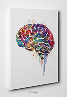 Brain Anatomy Watercolor Print Medical Art Science Art Wall Decor Wall Art Neurology Human Brain Doctor Gift Science Poster Wall Hanging-428 - CocoMilla