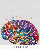 Brain Anatomy Watercolor Print Medical Art Science Art Wall Decor Wall Art Neurology Human Brain Doctor Gift Science Poster Wall Hanging-428 - CocoMilla
