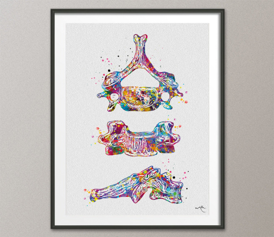 Sixth Cervical Vertebra Watercolor Print Anatomy Medical Art Vertebral Bones Clinic Medical Office Decor Skeletal System Orthopedic Art-1475 - CocoMilla