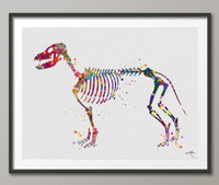 Dog Skeleton Watercolor Print Dog Skeletal System Art Print Poster Dog Breed Gift Pet Dog Love Puppy Animal Veterinary Office Dog Poster-826 - CocoMilla