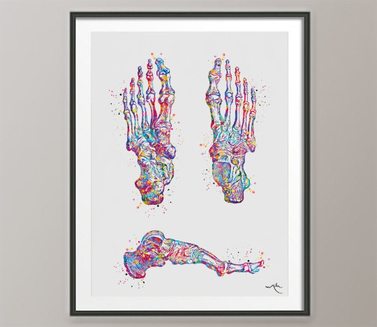 Foot Bones Watercolor Print Skeletal Feet Bone Medical Art Science Art Orthopedic Office Clinic Art Poster Skeleton Print Clinic Decor-707 - CocoMilla