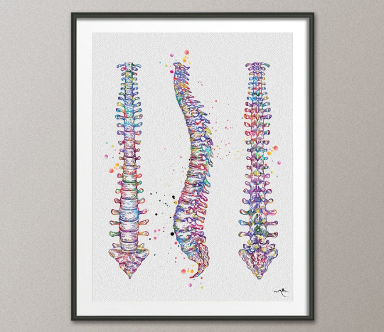 Spine Watercolor Print Human Spine Anatomy Art Medical Art Medicine Neurology Neurosurgeon Neurologist Wall Hanging Doctor Clinic Decor-1013 - CocoMilla